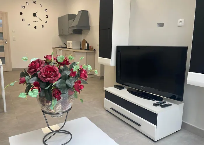 Апартаменты I W Centrum - Winda - 50 Metrow Od Starego Rynku Косцежина